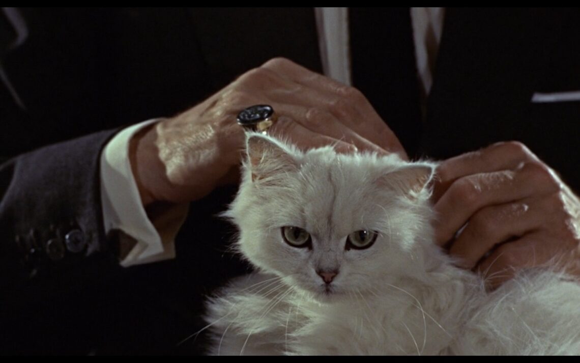 Ernst Stavro Blofeld macskája