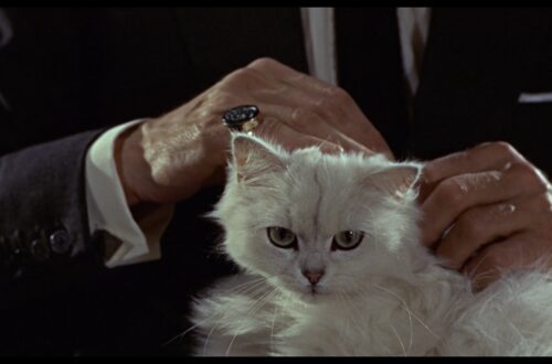 Ernst Stavro Blofeld macskája