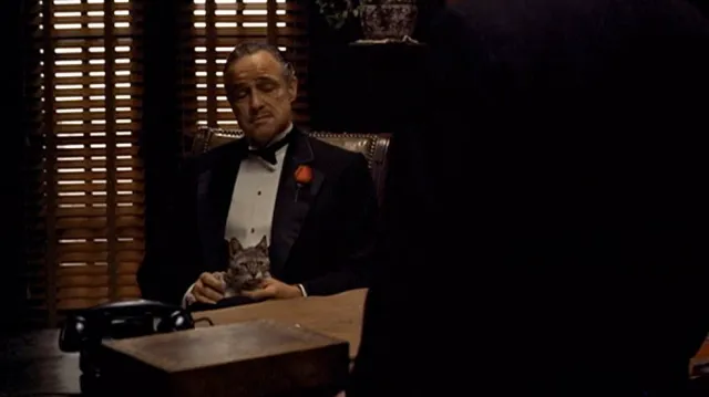 Don Corleone macskája