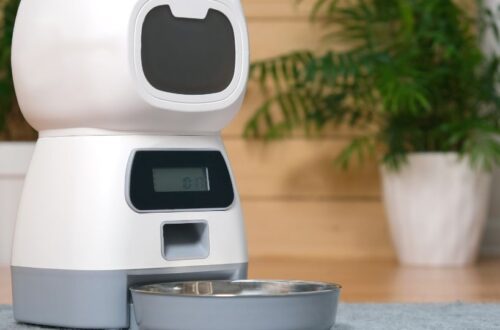 Automata etető macskáknak, digitális kijelzővel és tálcával.