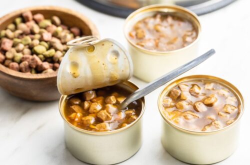 Különböző macskaeledel konzervdobozok és tálban száraz eledel.